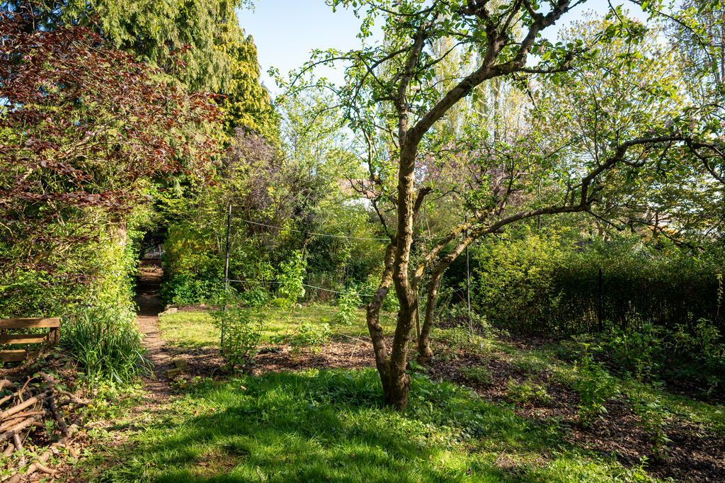 Knowle Lane Ecclesall